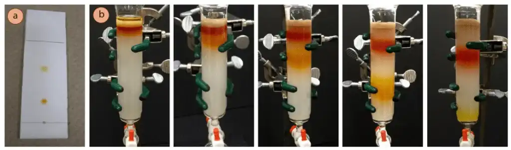 cromatografia en columna (1)