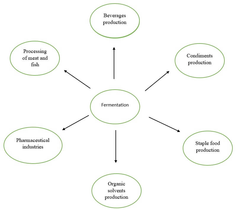 Aplicación de la fermentación