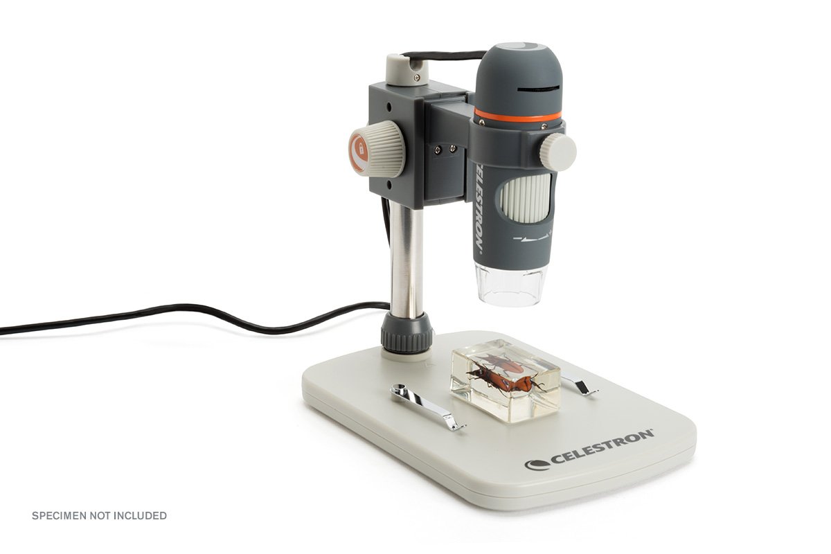 Microscopio digital Celestron