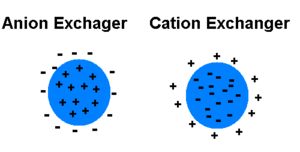 300px-Anion+cation_exchanger2