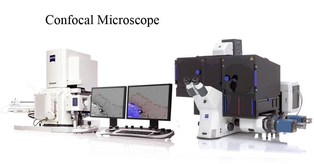 Microscopio confocal Zeiss