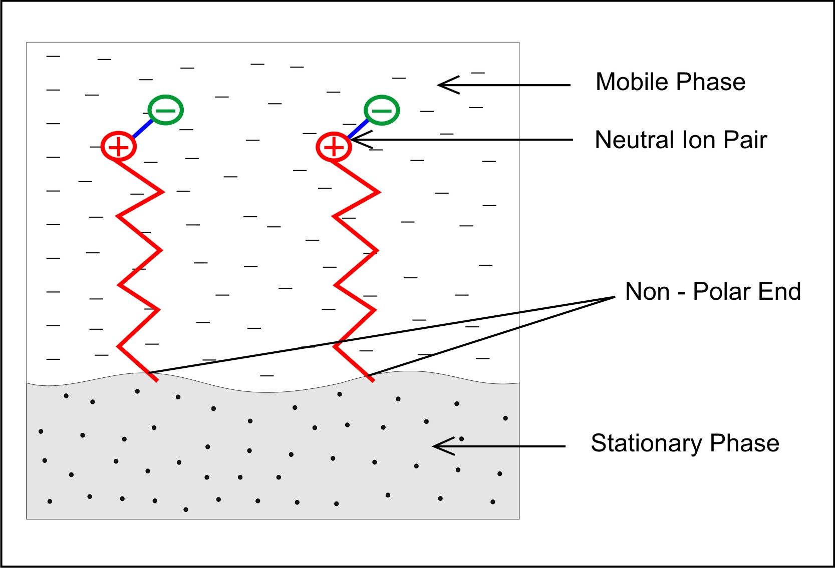 Diagrama de fase móvil con extremos polares y no polares