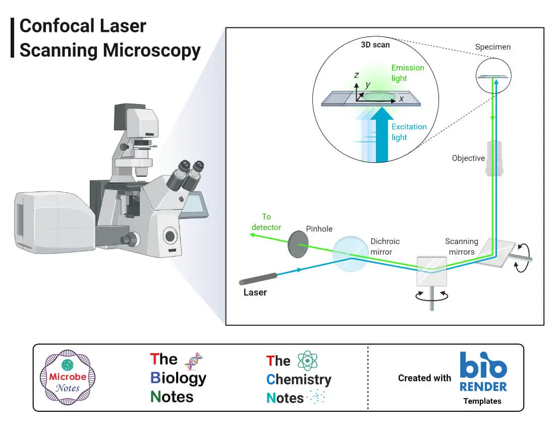 Microscopía de escaneo láser confocal