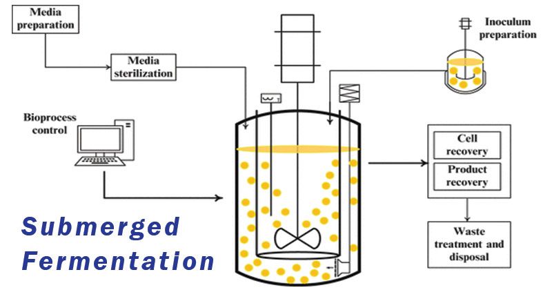 Fermentación sumergida