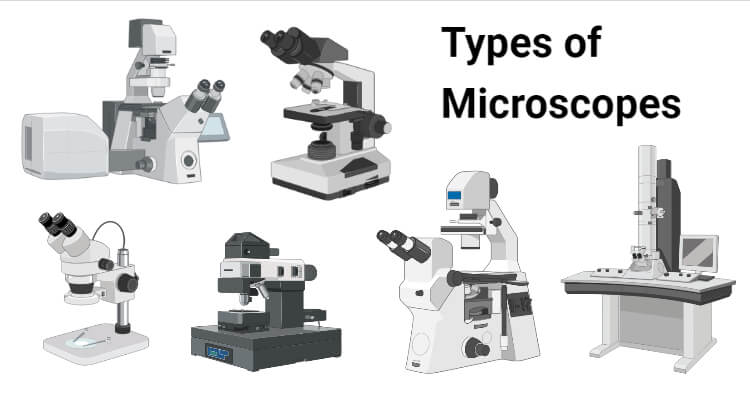 tipos de microscopios