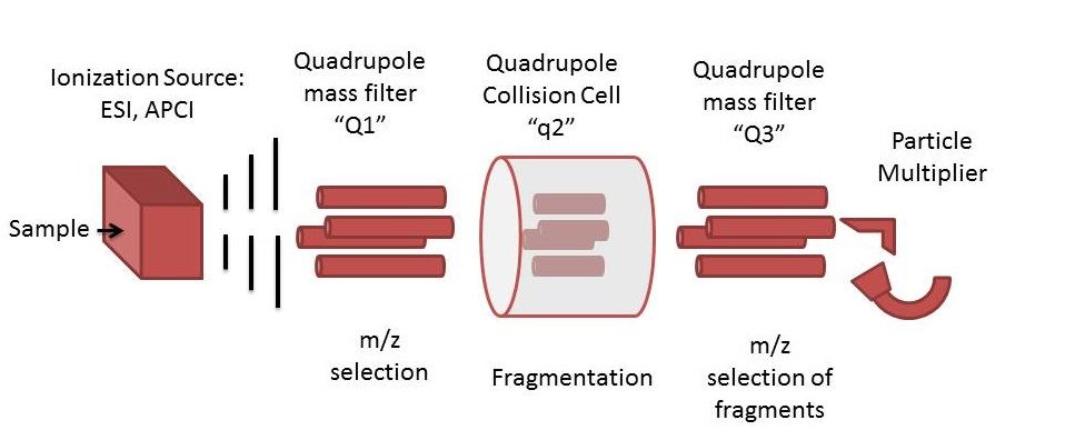 Triple_quadrupole_schematic