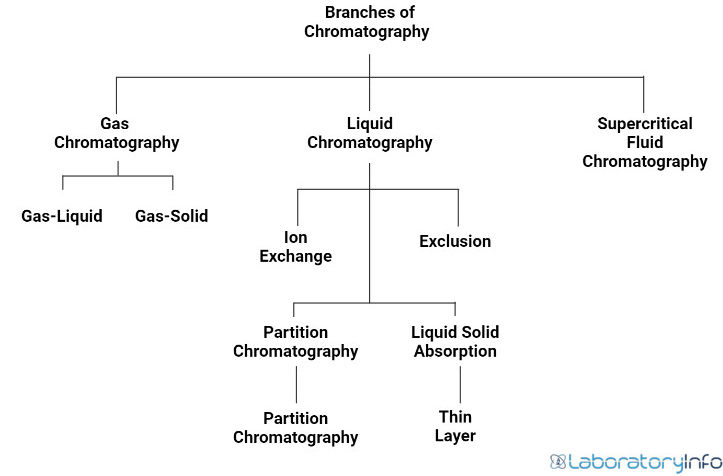 types Branches of Chromatography hplc High-performance liquid chromatography