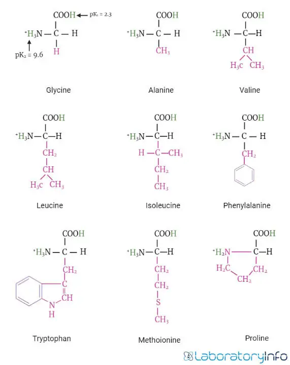 Estructuras de aminoácidos no Polares